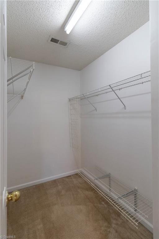 spacious closet featuring carpet flooring