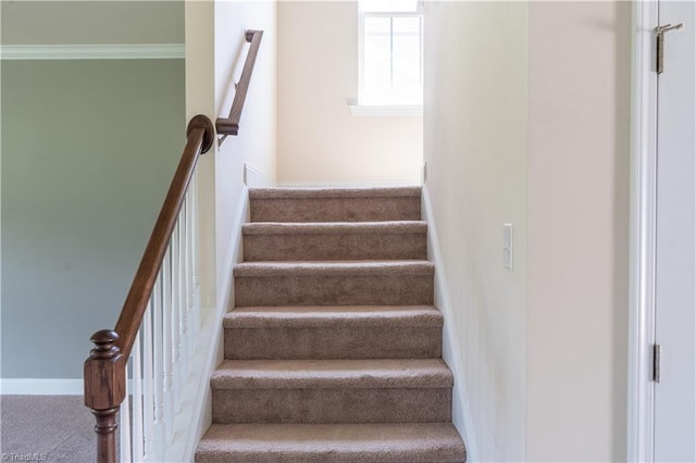 4008 Meadow Valley Dr, High Point, NC 27265 - staircase featuring crown molding, baseboards, and carpet flooring