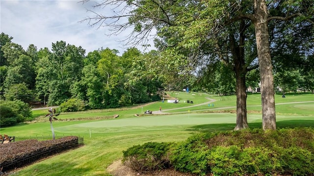 view of property's community with a lawn