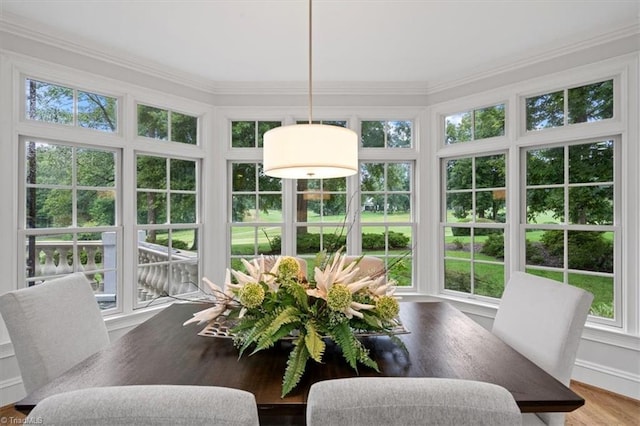 sunroom with a wealth of natural light