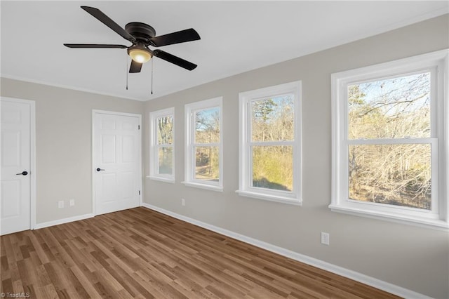 unfurnished room featuring wood-type flooring