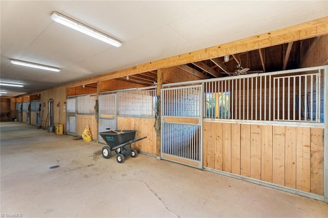 view of horse barn