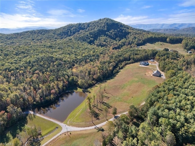 birds eye view of property featuring a water and mountain view