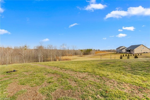 view of yard with a rural view