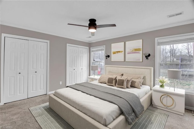 carpeted bedroom with visible vents, two closets, ceiling fan, baseboards, and ornamental molding