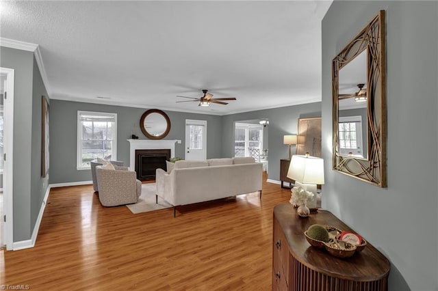 living room with baseboards, light wood-style floors, ornamental molding, and a fireplace