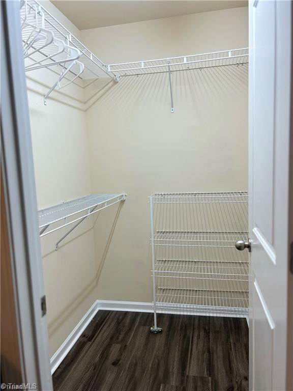 spacious closet featuring dark wood-type flooring