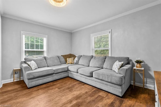 1449 NC Highway 150 W, Summerfield, NC 27358 - living area featuring healthy amount of natural light, ornamental molding, and wood finished floors