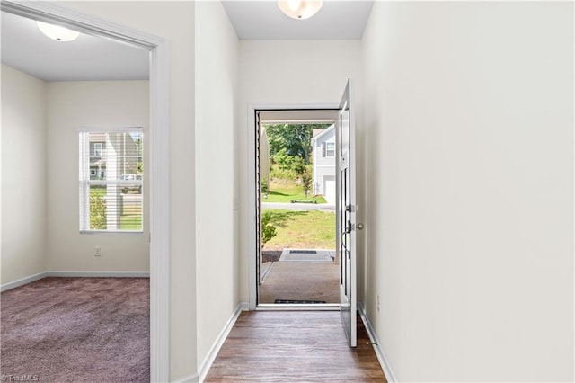 doorway featuring carpet