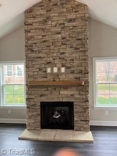 details featuring a fireplace and wood-type flooring