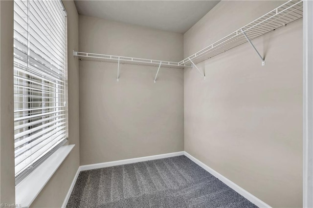 spacious closet with carpet floors