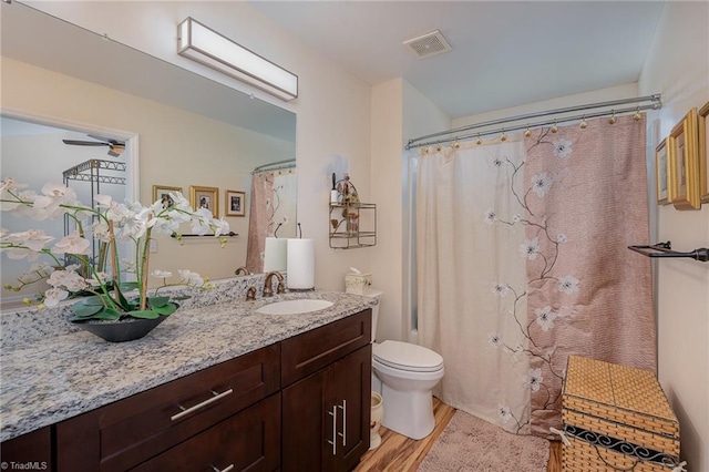 bathroom featuring vanity, hardwood / wood-style flooring, and toilet