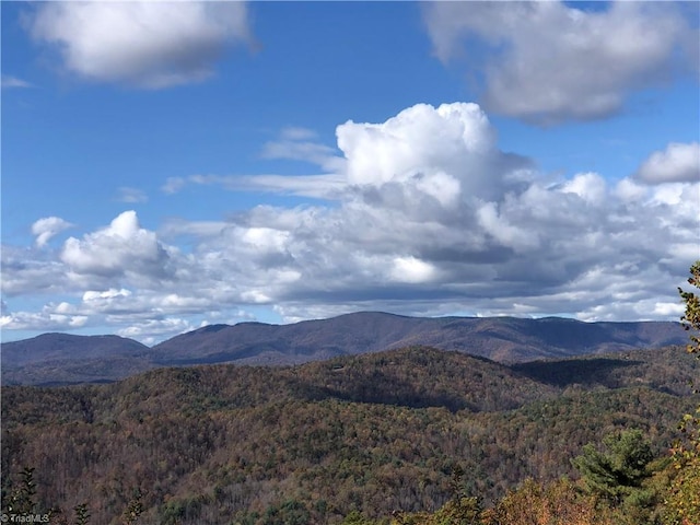 Listing photo 3 for LOT96 Buck Mountain Rd, Purlear NC 28665