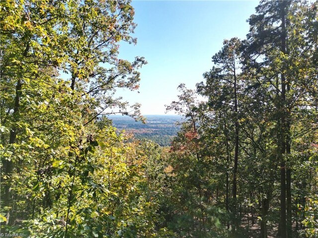 232 Sierra Trace Rd, Denton, NC 27239