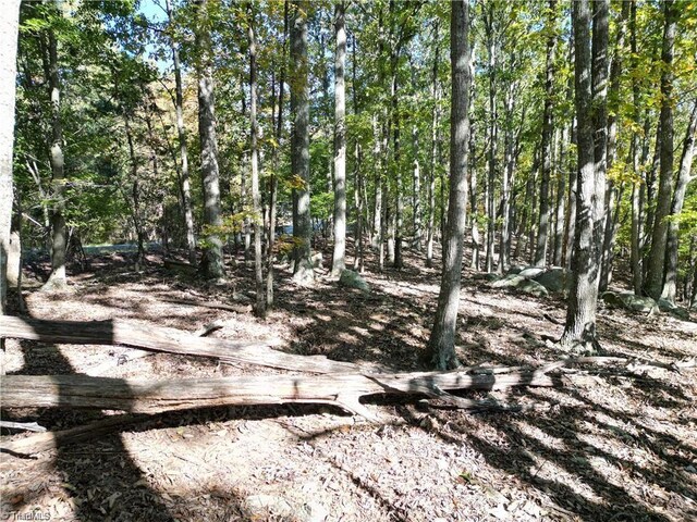 232 Sierra Trace Rd, Denton, NC 27239