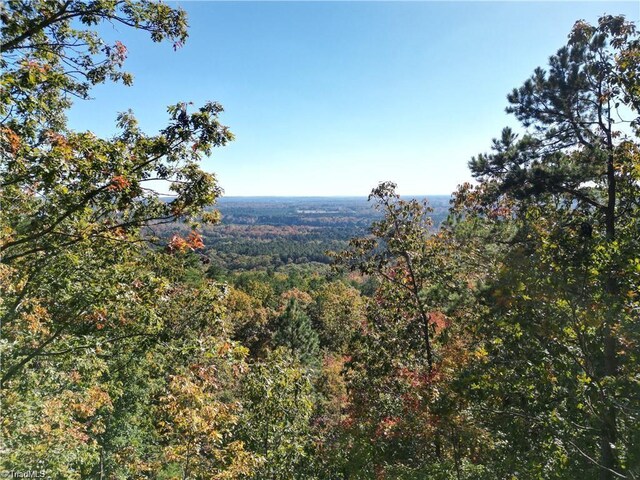 232 Sierra Trace Rd, Denton, NC 27239
