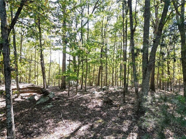 232 Sierra Trace Rd, Denton, NC 27239