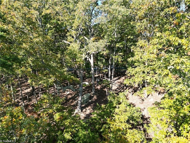 232 Sierra Trace Rd, Denton, NC 27239