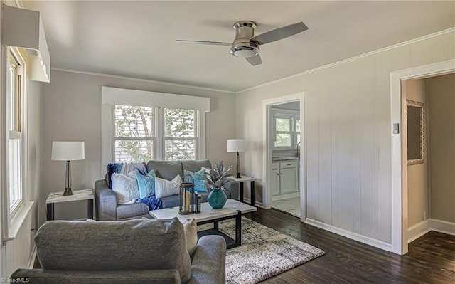 living room featuring ceiling fan, crown molding, and dark hardwood / wood-style flooring