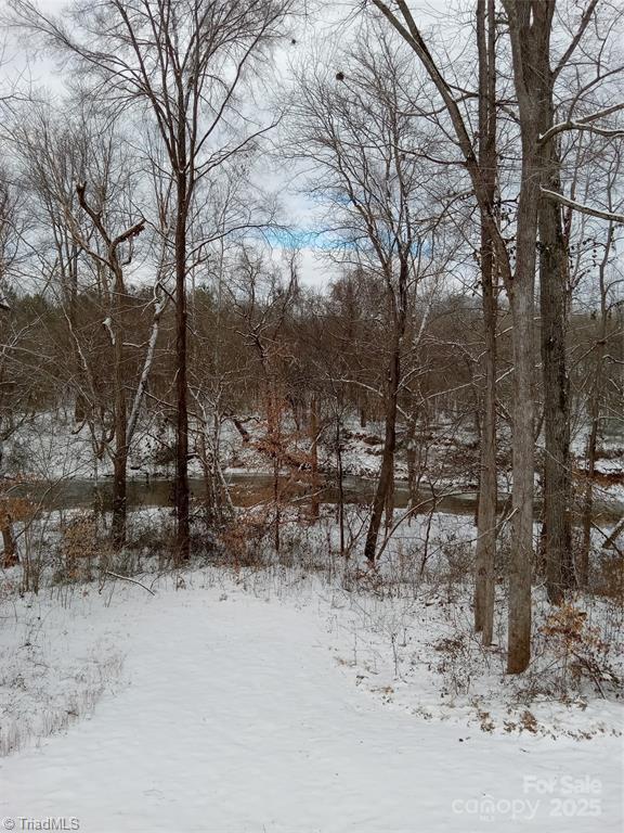845 Montgomery Ct, Walnut Cove, NC 27052 - view of yard covered in snow