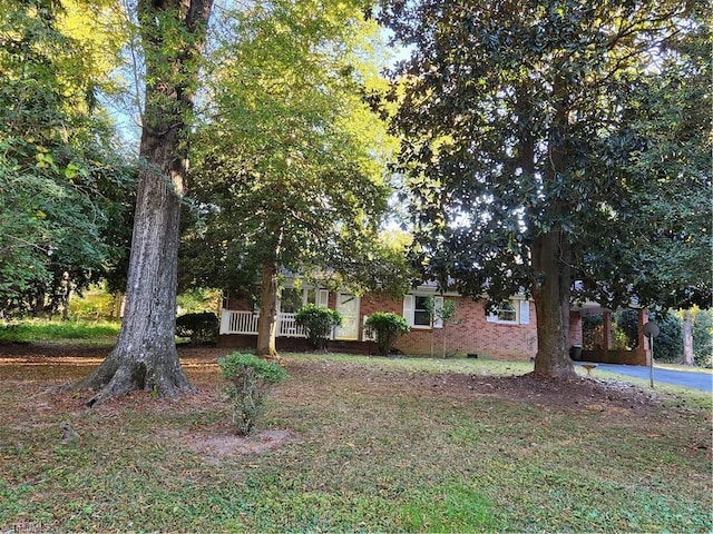 view of property hidden behind natural elements featuring a front lawn