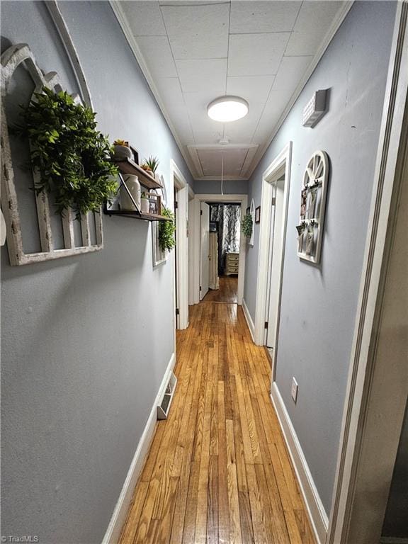 hallway with light hardwood / wood-style flooring