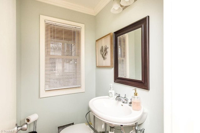 bathroom with sink and crown molding