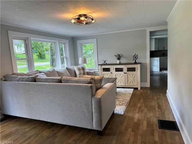 living room with baseboards, ornamental molding, dark wood finished floors, and visible vents