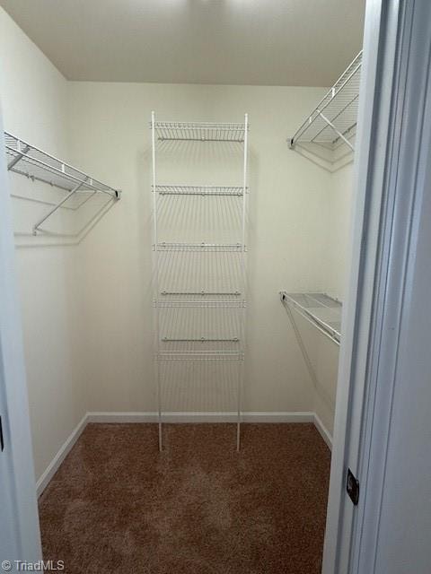 spacious closet featuring dark colored carpet