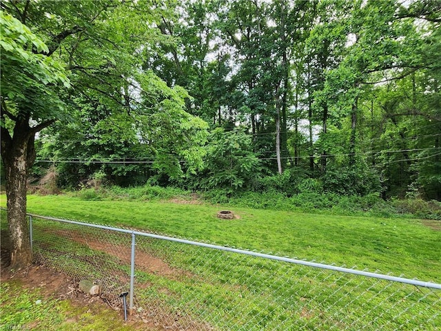 1129 Foxtrot Ct, King, NC 27021 - view of yard