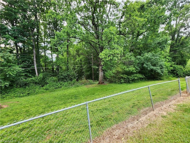 1129 Foxtrot Ct, King, NC 27021 - view of yard
