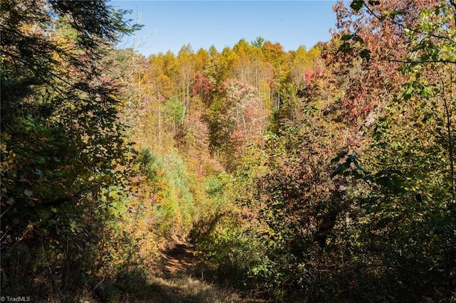 Listing photo 3 for TBD Old Campground Rd, Millers Creek NC 28651