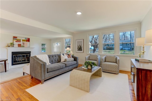 living room with plenty of natural light, hardwood / wood-style floors, and crown molding