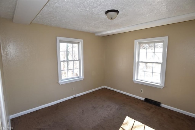 carpeted empty room featuring a wealth of natural light and a textured ceiling