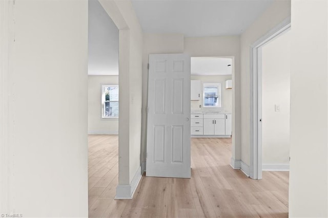 corridor with plenty of natural light and light wood-type flooring