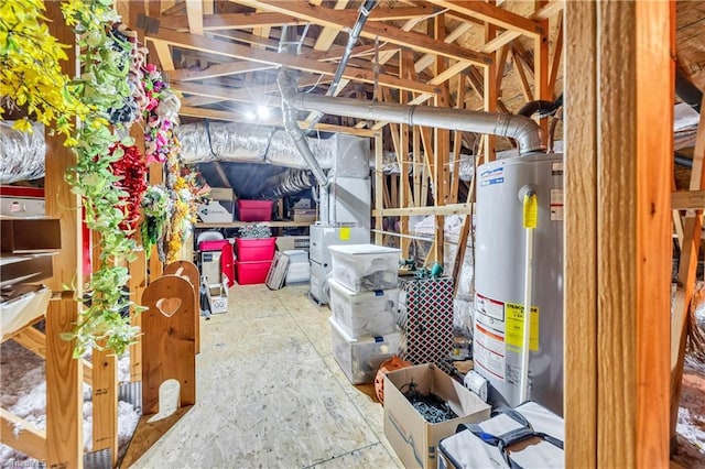 basement with water heater