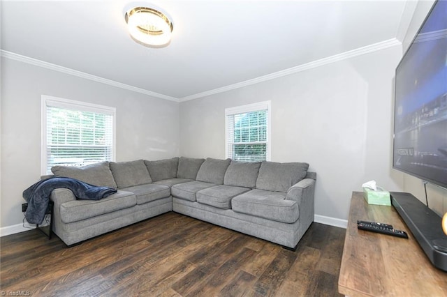 1449 NC Highway 150, Summerfield, NC 27358 - living room with ornamental molding, healthy amount of natural light, dark wood-style floors, and baseboards