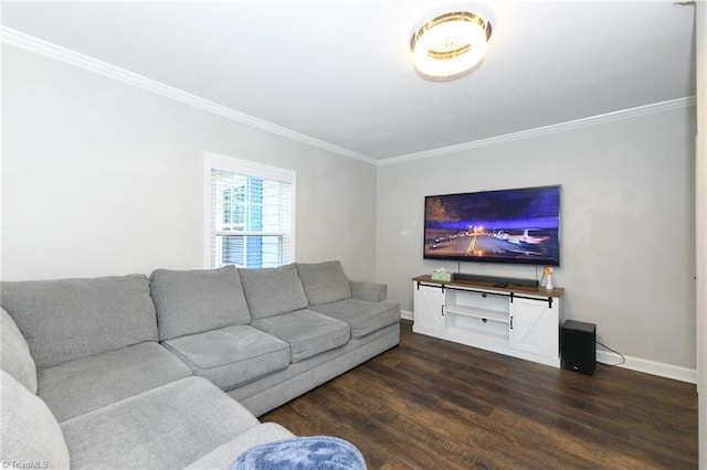 1449 NC Highway 150, Summerfield, NC 27358 - living room featuring ornamental molding, dark wood-style flooring, and baseboards