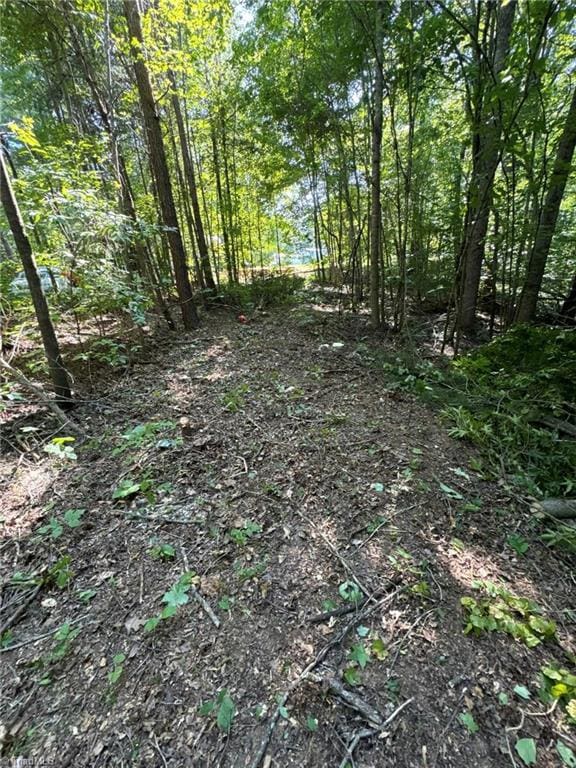 0 Orchard Ln, Pelham NC, 27311 land for sale