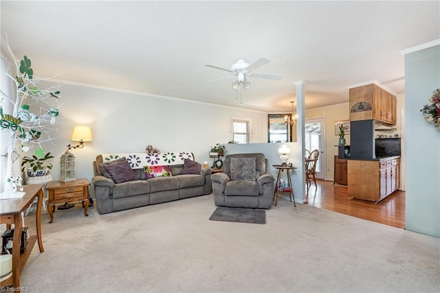 living room with carpet flooring, ceiling fan with notable chandelier, and crown molding