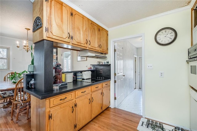 kitchen featuring under cabinet range hood, light wood-style floors, a textured ceiling, and ornamental molding