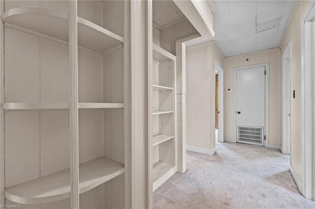 walk in closet featuring carpet