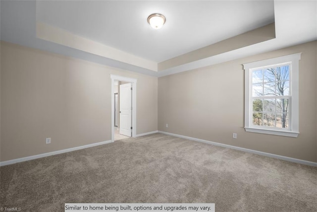 4095 Stallion St Lot 19, High Point, NC 27262 - spare room with a tray ceiling, carpet floors, and baseboards