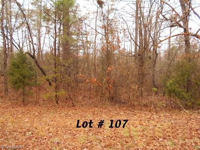 107 Deer Run, Eden NC, 27288 land for sale