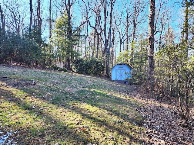 view of yard with a shed and an outdoor structure