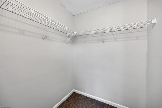 spacious closet with carpet floors