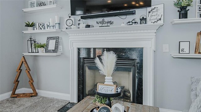 room details featuring a premium fireplace