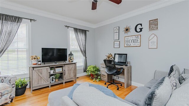 office space with hardwood / wood-style flooring, a wealth of natural light, crown molding, and ceiling fan