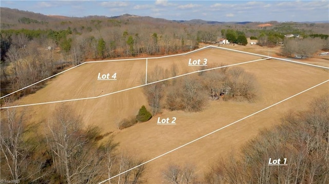 2 Jessup Grove Church Rd, Pilot Mountain NC, 27041 land for sale