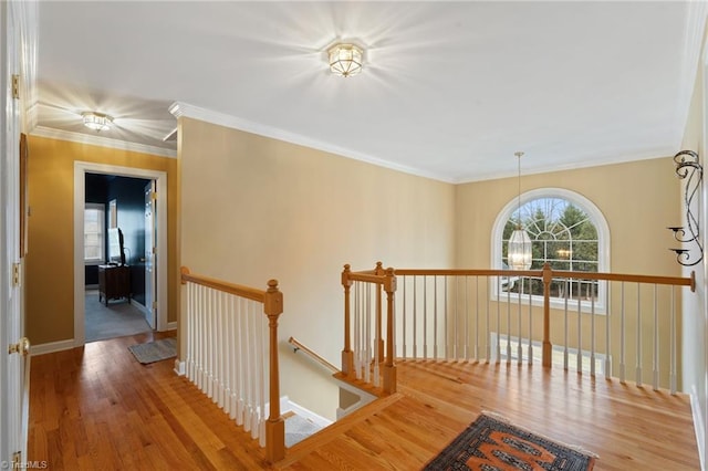 hall with hardwood / wood-style flooring and ornamental molding